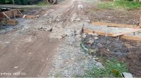 IMG-20241216-WA0195